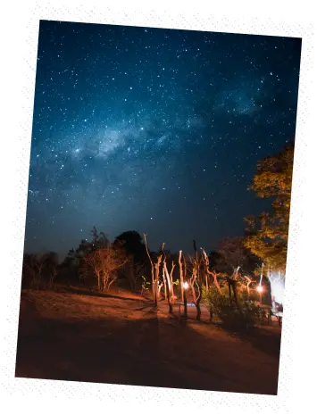 Eine Afrika-Reise mit Afrikascout ist das Richtige für dich, wenn du etwas erleben möchtest, das du sonst nirgends auf der Welt finden kannst.