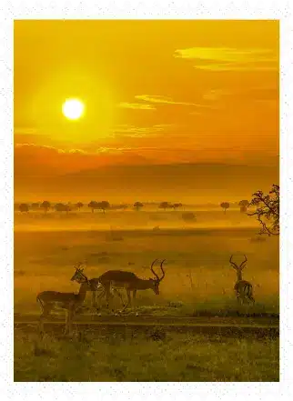 Eine Afrika-Reise mit Afrikascout ist das Richtige für dich, wenn du keine Standard-Reise willst, sondern ein Erlebnis suchst.